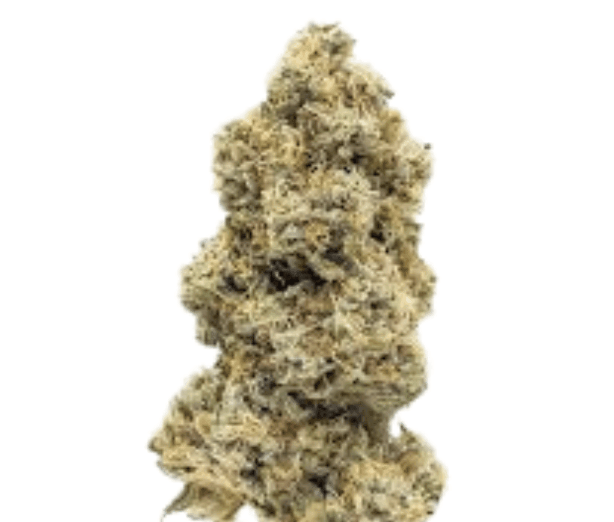 IMC B2 THC20 Token - Sour Splash