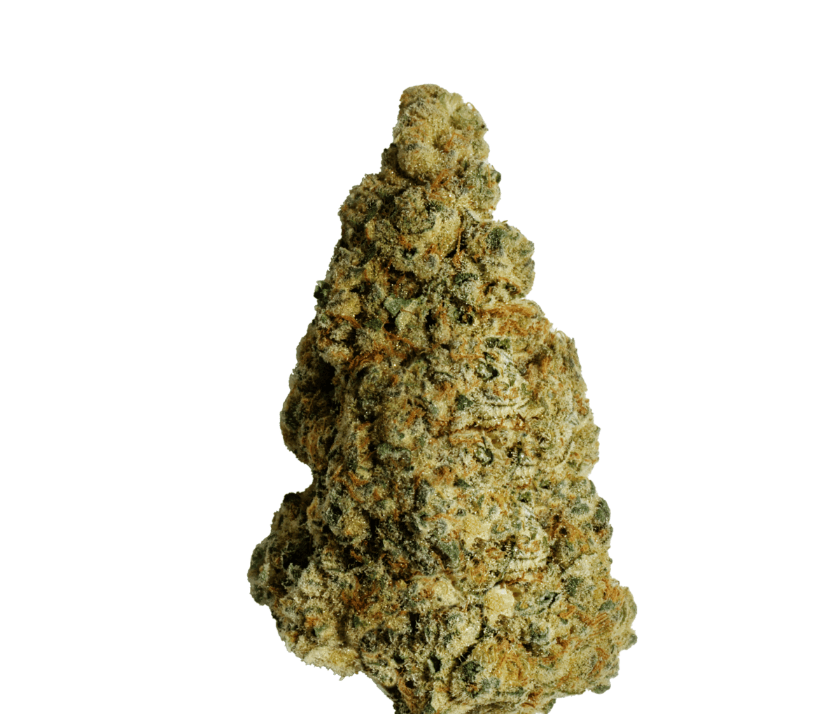 ZOIKS 26/1 BB - Ben & Berries ZOIKS 26/1 BB - Ben & Berries