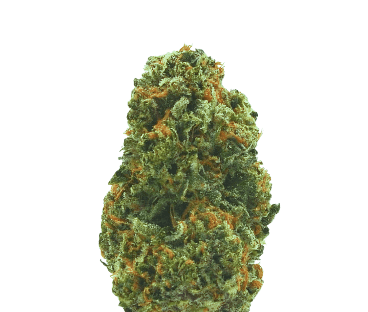 Remexian 30/1 MTL APF - Apple Fritter