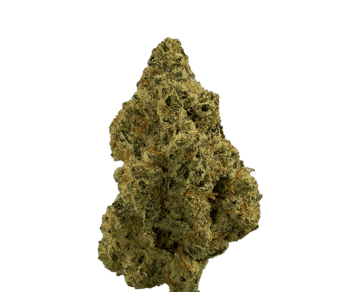 madrecan 18/1 - Granddaddy OG madrecan 18/1 - Granddaddy OG