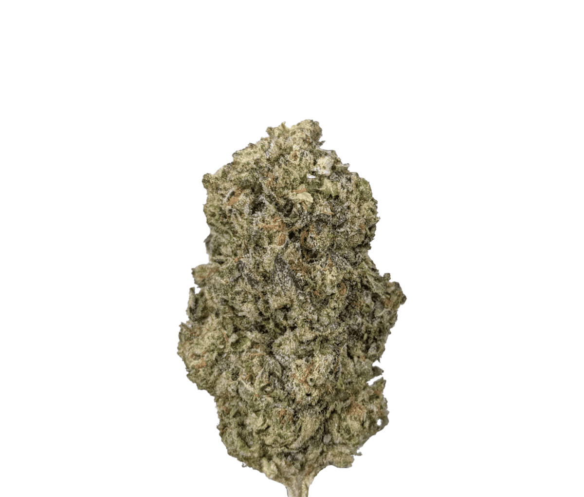 Huala 20/1 CA HOM - Holy Mints