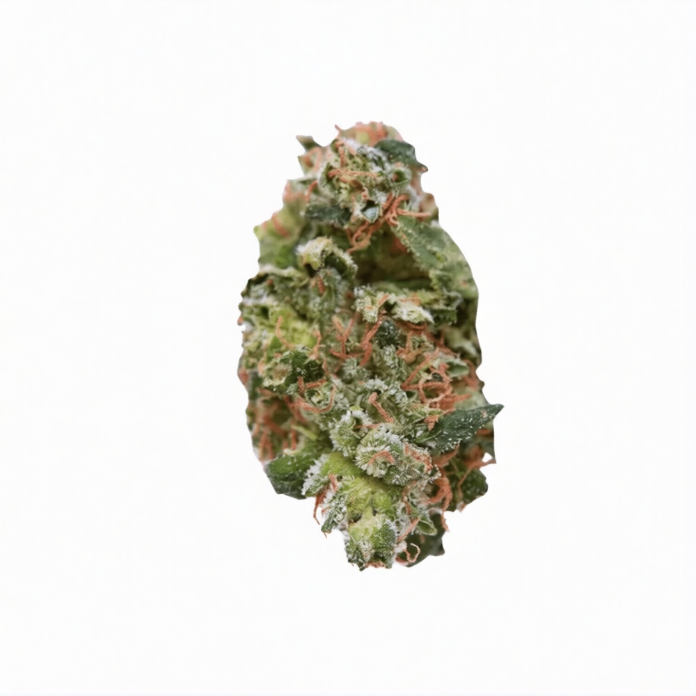 Legacy 31/1 NXN SPZ - Spritzer Legacy 31/1 NXN SPZ - Spritzer