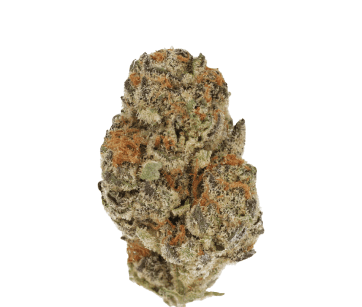 Cannamedical Indica classic ZAF Dank Wafers |Cannazen Cannamedical Indica classic ZAF Dank Wafers |Cannazen