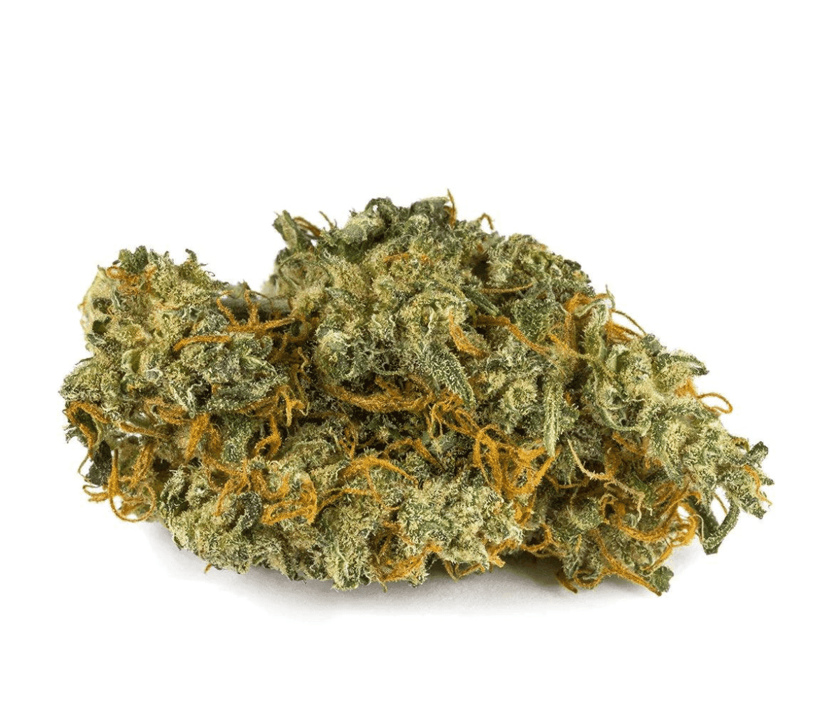 Pedanios 10/10 EQI-CA - Equiposa Nahaufnahme einer medizinischen Cannabisbluete