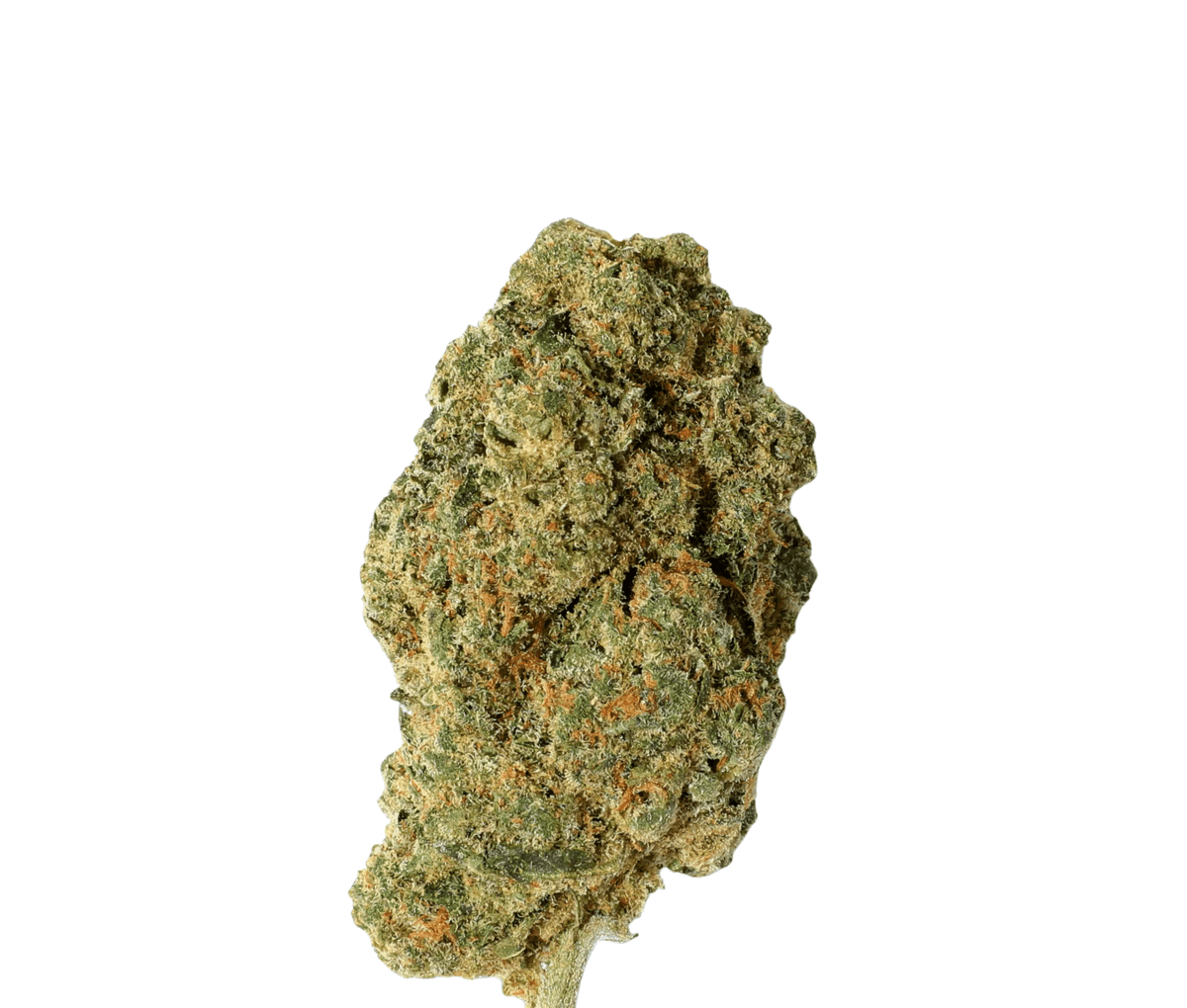 Huala 30/1 CA SCO - Scoops 