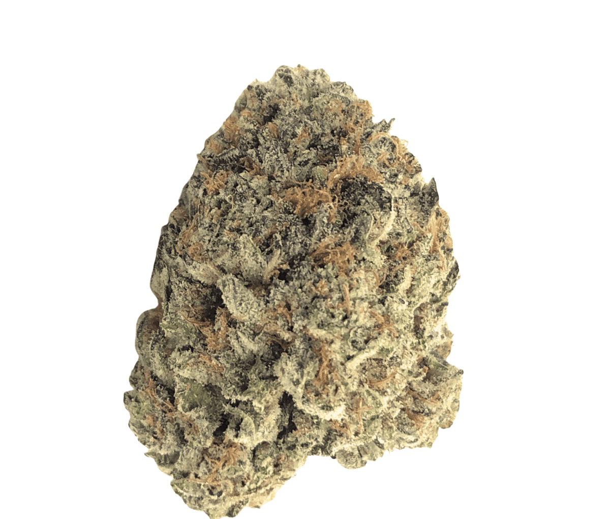 Roxton Air BD 24/1 - Flap Jacks Roxton Air BD 24/1 - Flap Jacks