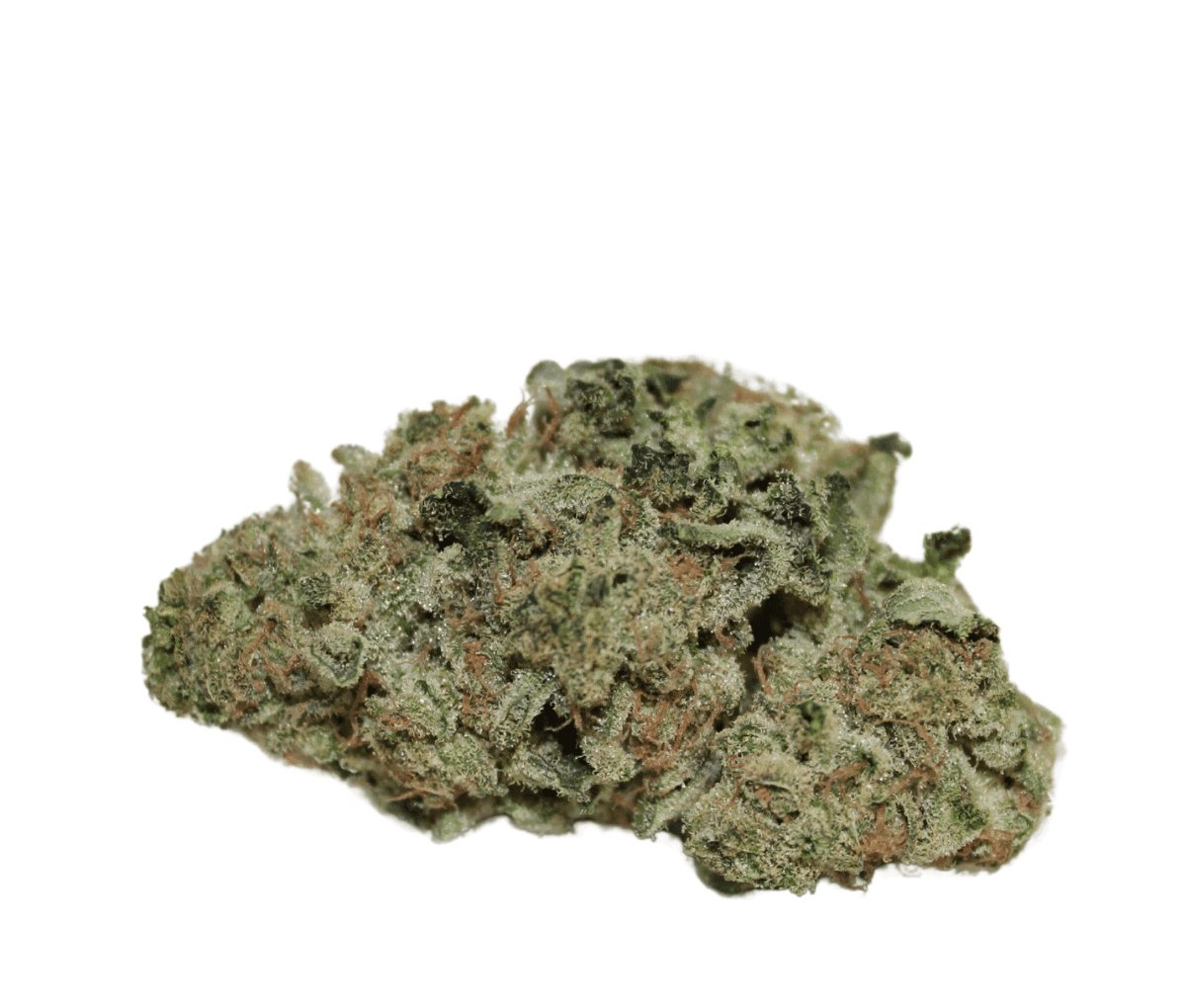 Khiron G 23/1 - Gelato 42 Nahaufnahme einer medizinischen Cannabisbluete