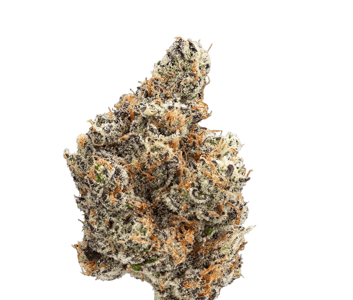 Craft Emerald 27:01 - GMO x GUSH MINTS