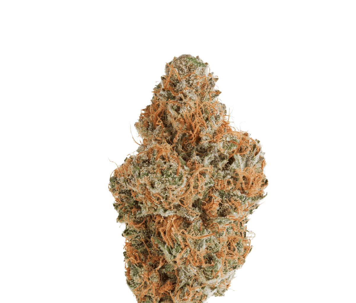 HiSociety 24/1 - Deep Breath HiSociety 24/1 - Deep Breath