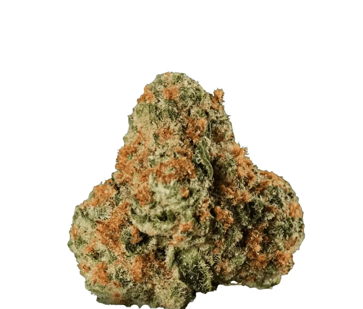 Huala 22/1 UK WTR - Waffle Truffle