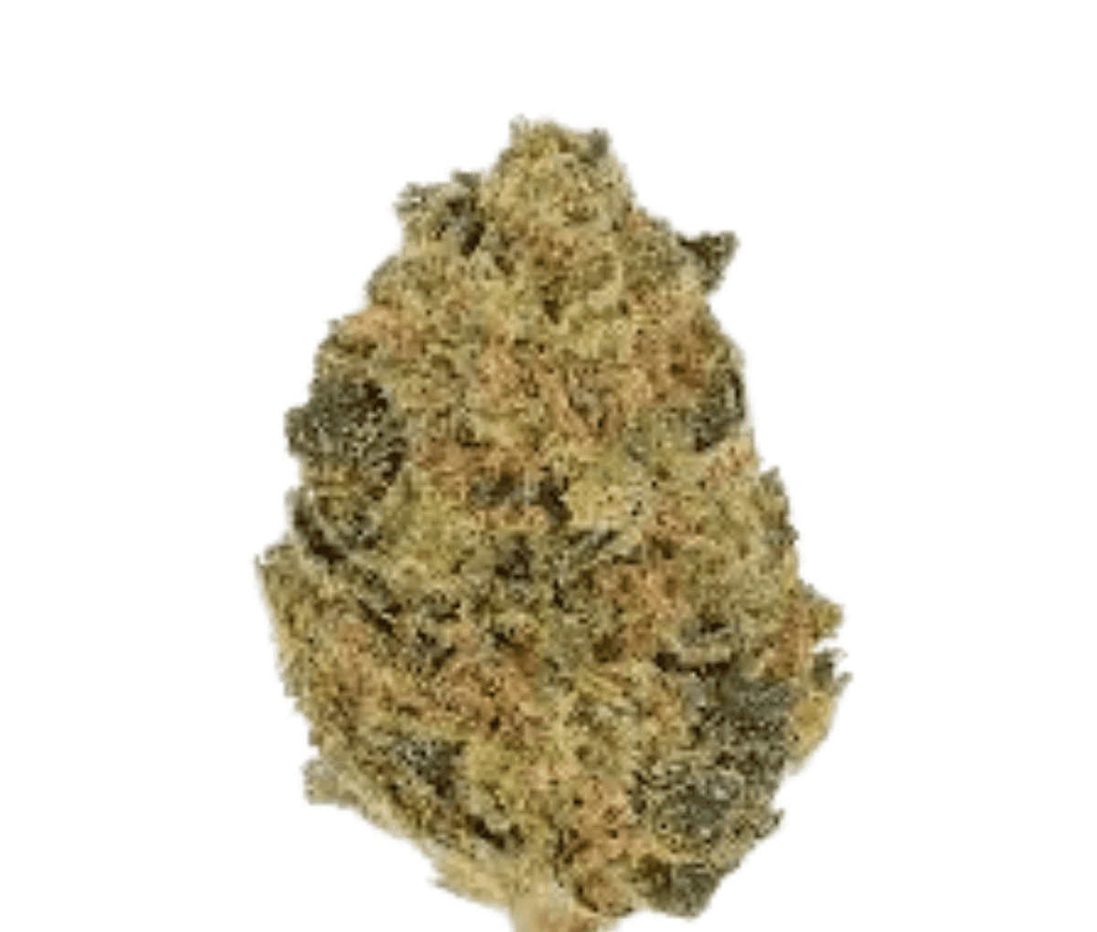 Cannamedical Hybrid Classic KA - Ring of Sour Cannamedical Hybrid Classic KA - Ring of Sour