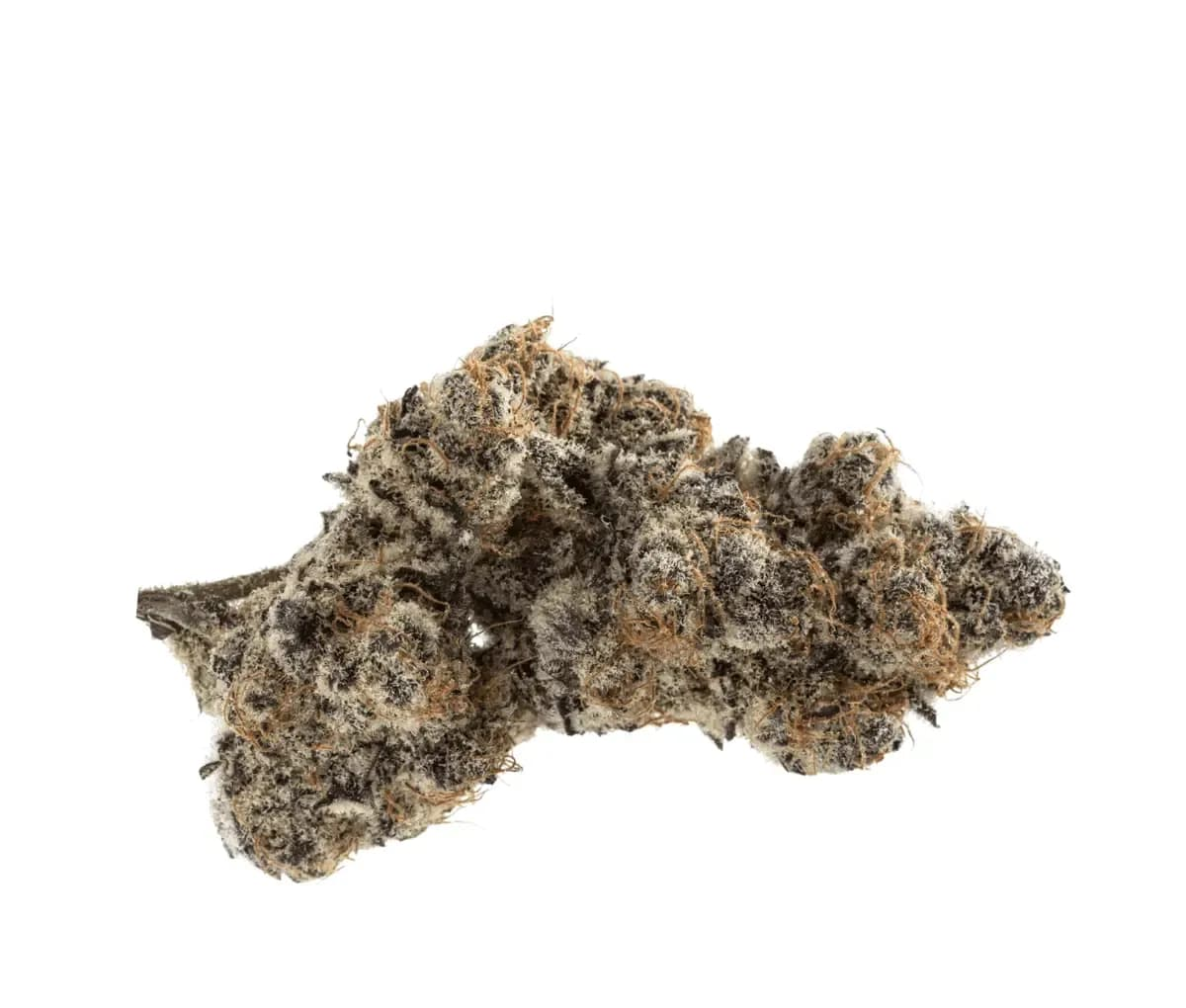 Greyscales FJ 26/1 Flapjacks - Flap Jacks