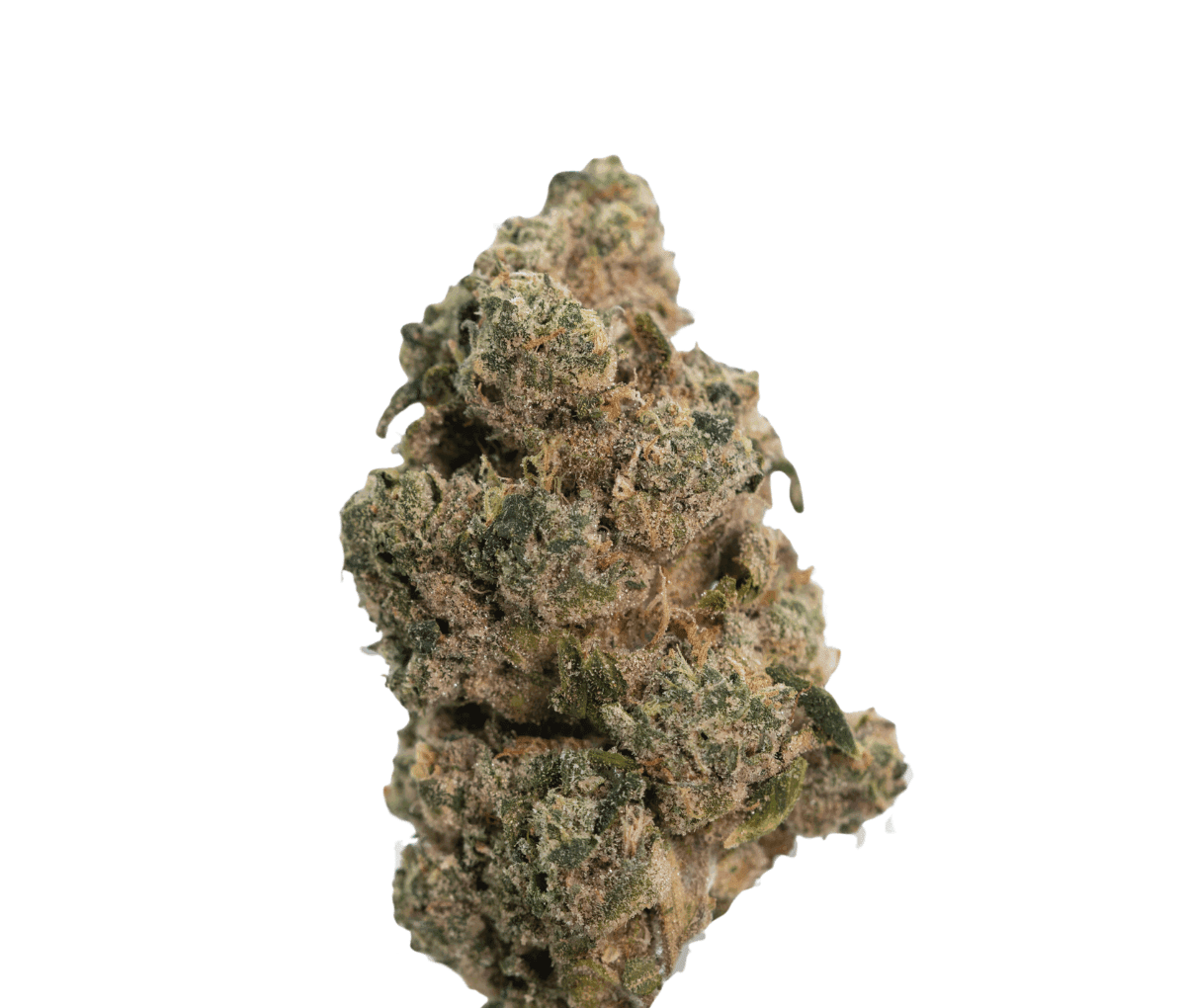 Barongo 26/1 FB - Frosted Sweet Tooth