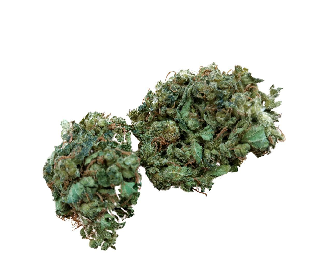 Pedanios 22/1 - Ghost Train Haze Nahaufnahme einer medizinischen Cannabisbluete
