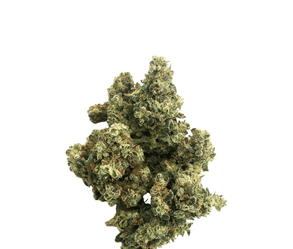 Good Supply Cannabisblüten THC22 IIM - Inzane in the Membrane Good Supply Cannabisblüten THC22 IIM - Inzane in the Membrane
