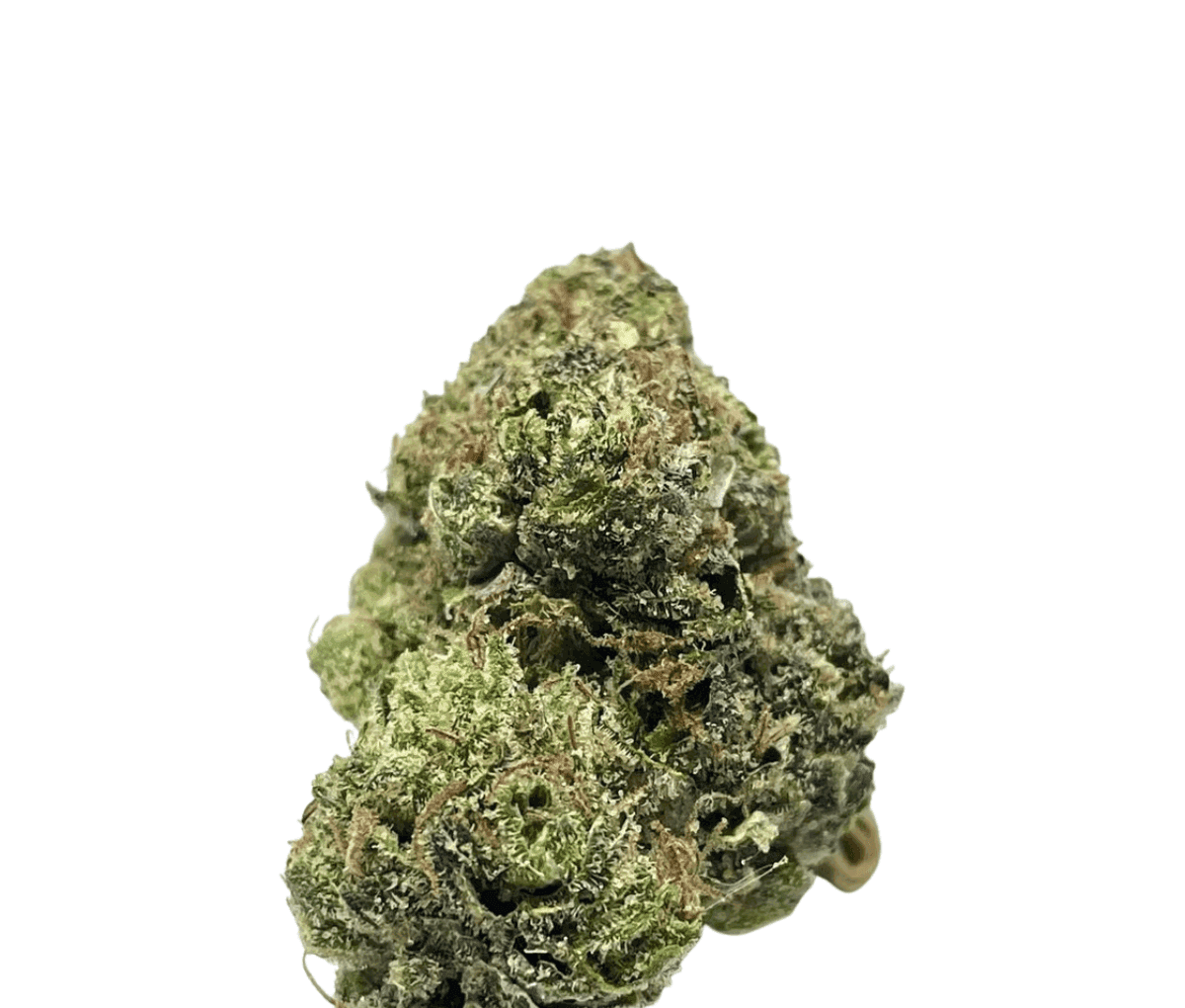 Greyscales HF 27/1 - Hawaiian Faanta