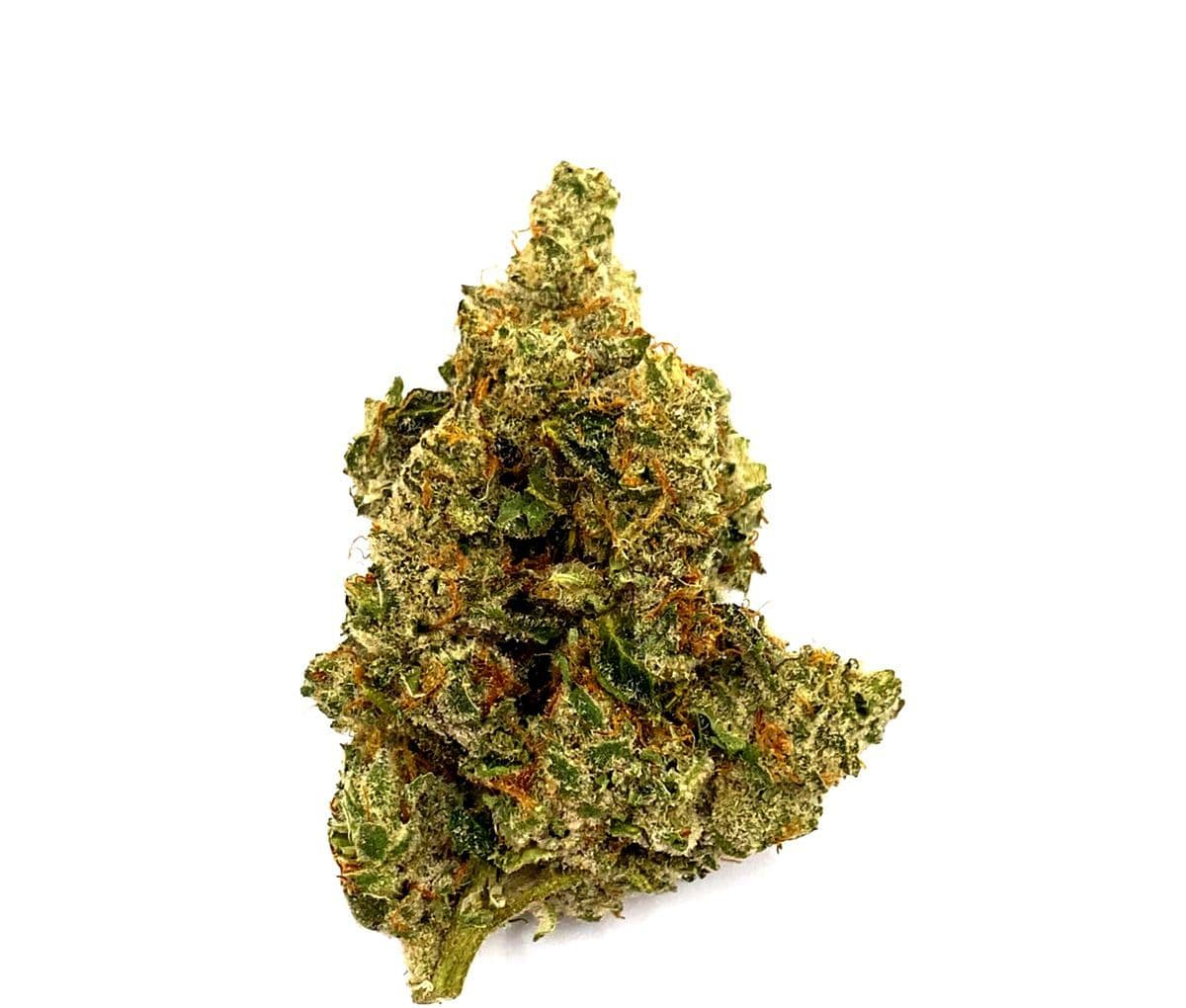 420 Evolution 25/1 CA STR - Star Struck