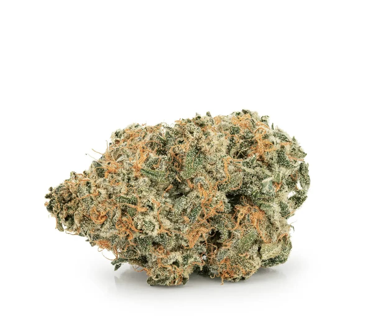 avaay 26/1 SCP - Sour Cherry Punch avaay 26/1 SCP - Sour Cherry Punch