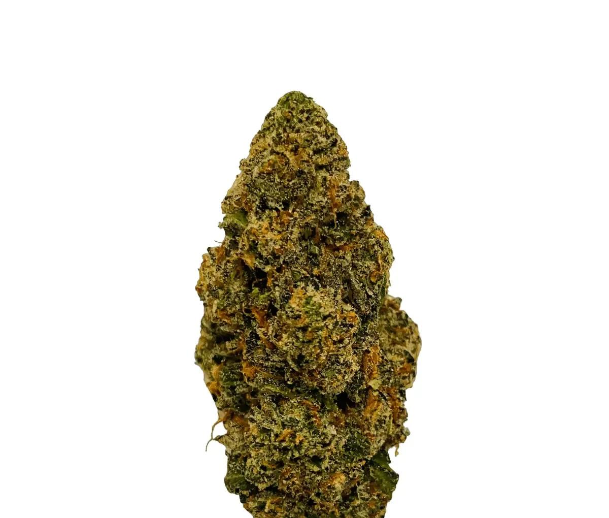 Ostara GC 25/1 - Gas Cake