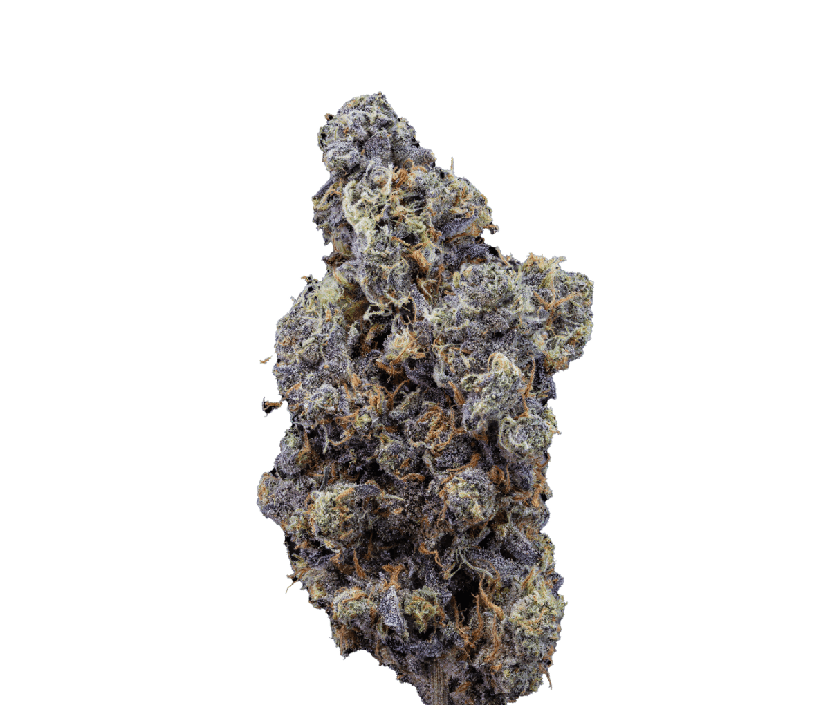 Organic Sweetgrass MCC 21/1 Mint Chocolate Chips