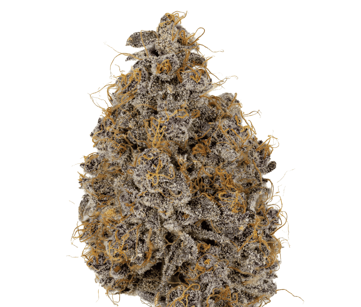 IMC Deep Plum 22/1 Mids