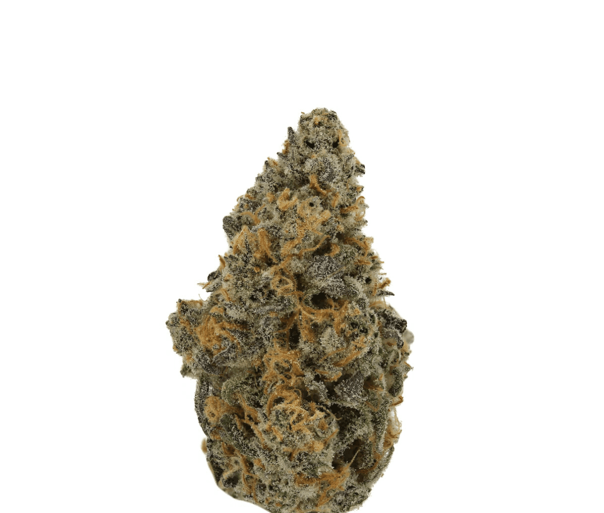 Demecan Core JM7 28/1 - Jelly Mints Nahaufnahme einer medizinischen Cannabisbluete