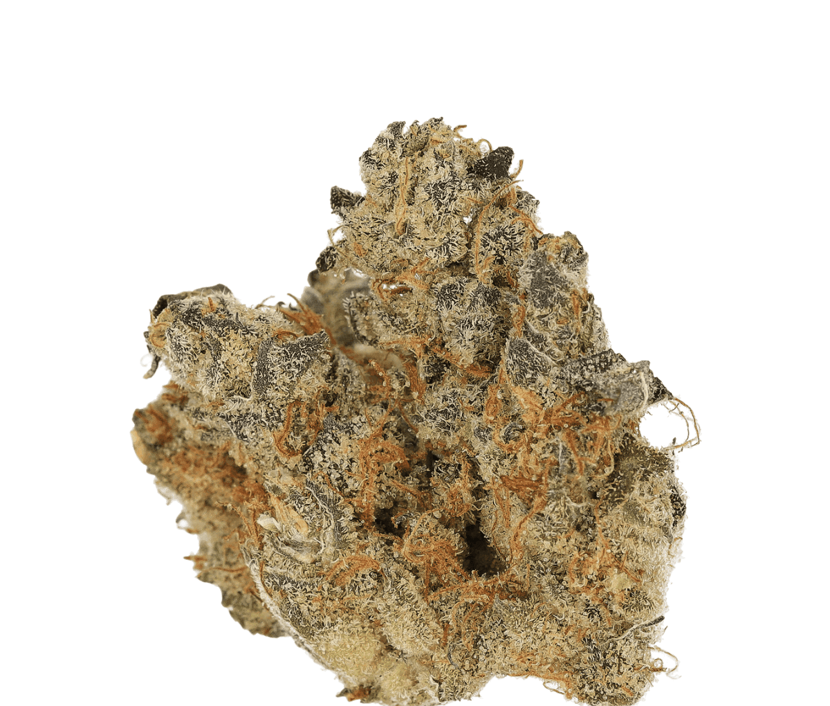 Cannamedical CM 29/1 SPC - Space Cake Nahaufnahme einer medizinischen Cannabisbluete
