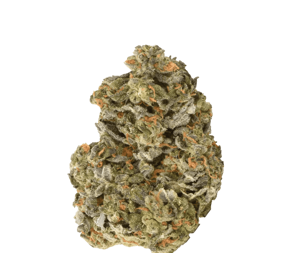 Remexian 21/1 CHR - Blunicorn BCO