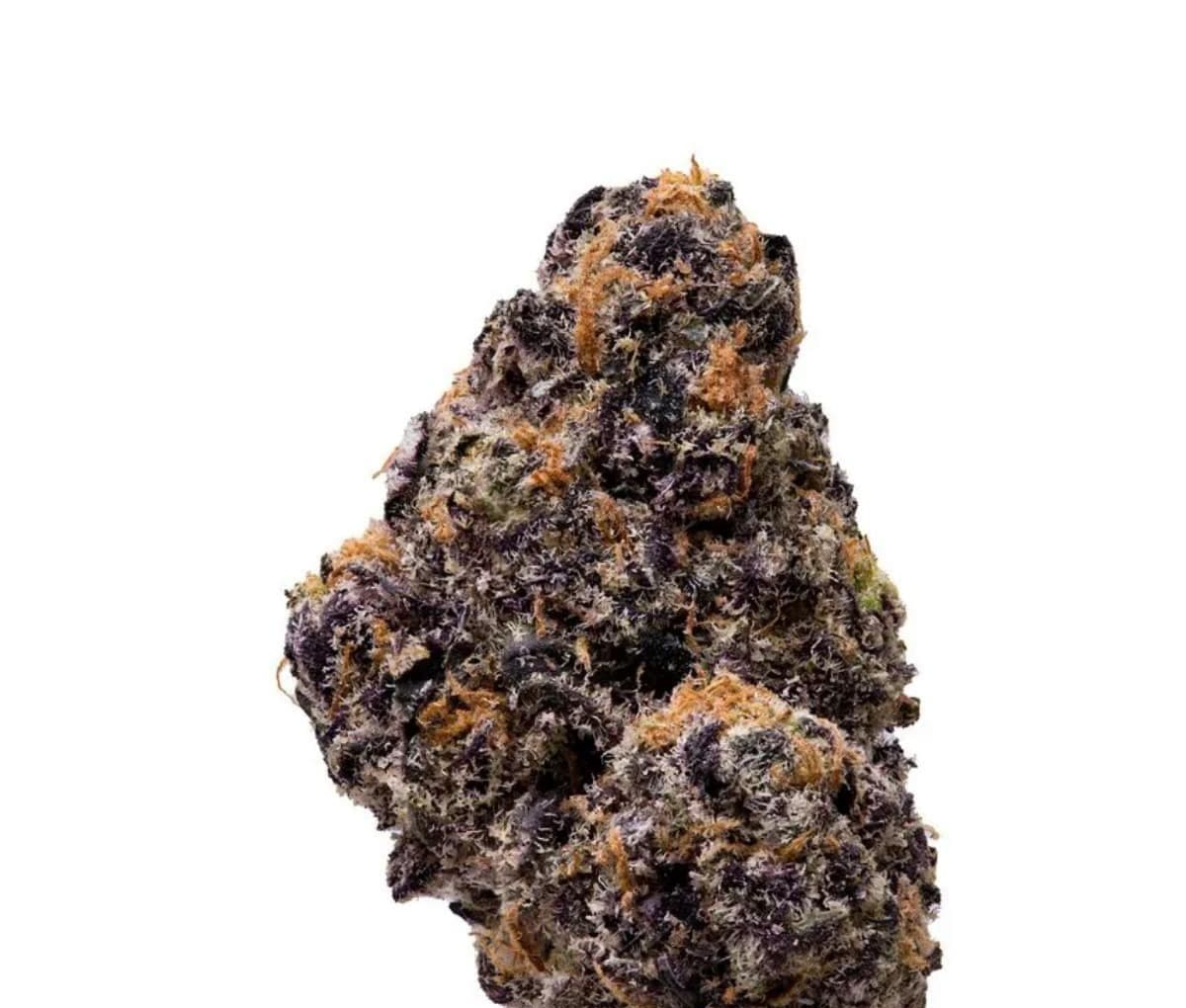 420 Evolution 27/1 CA FRG Frosted Gumbo