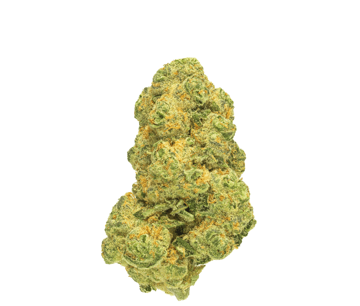 Pedanios 31/1 COS-CA - Cosmic Cream Pedanios 31/1 COS-CA - Cosmic Cream