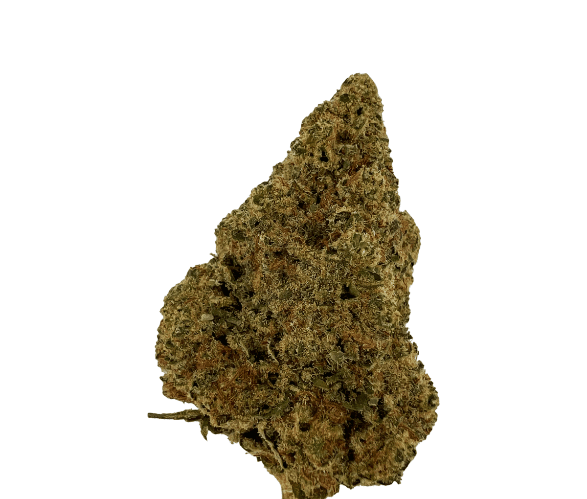 Sibanax MCF 20/1 Mac Fem