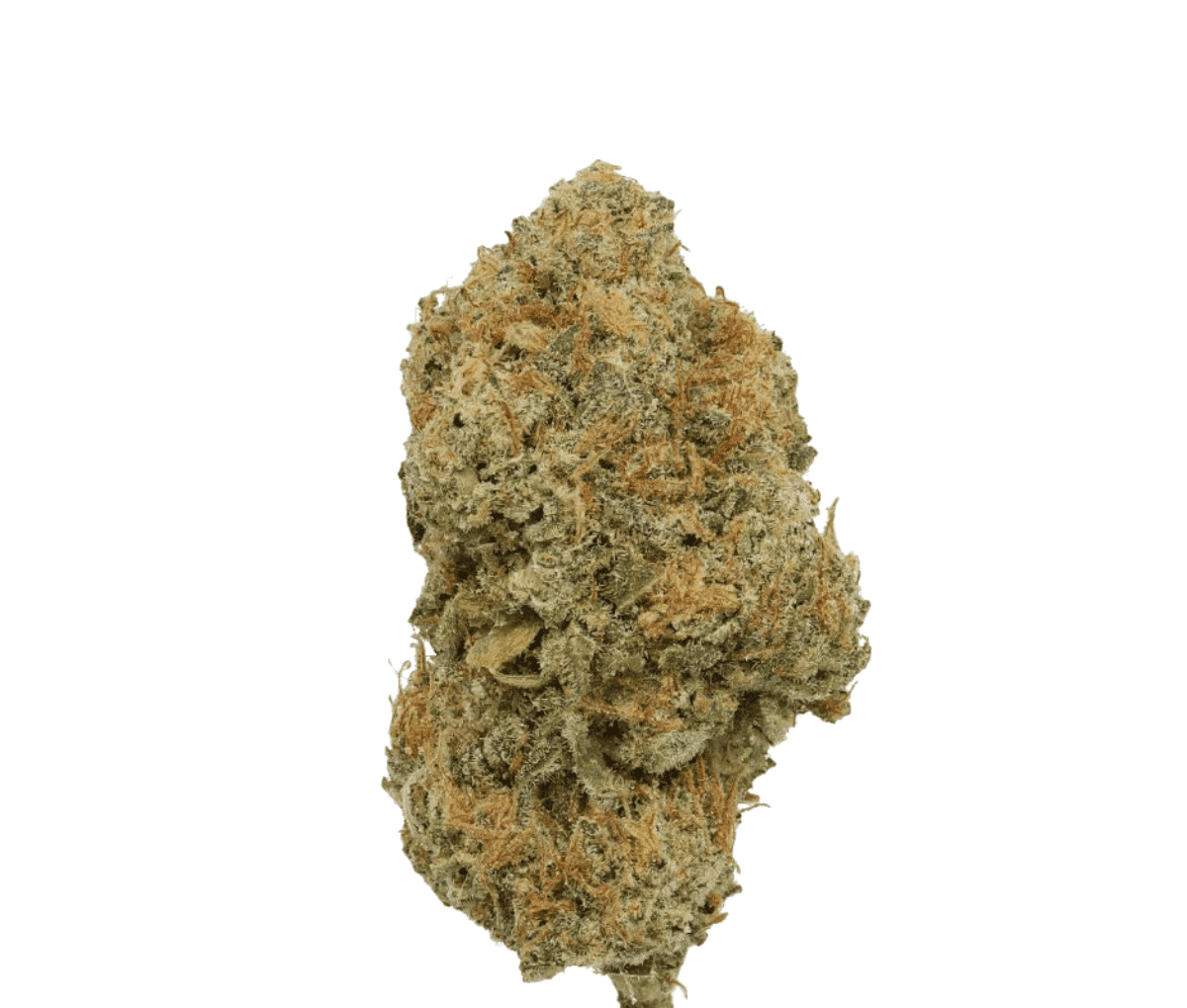 Pharma Leaves Indica dominant Strong 25/1 - Do-Si-Dos Pharma Leaves Indica dominant Strong 25/1 - Do-Si-Dos