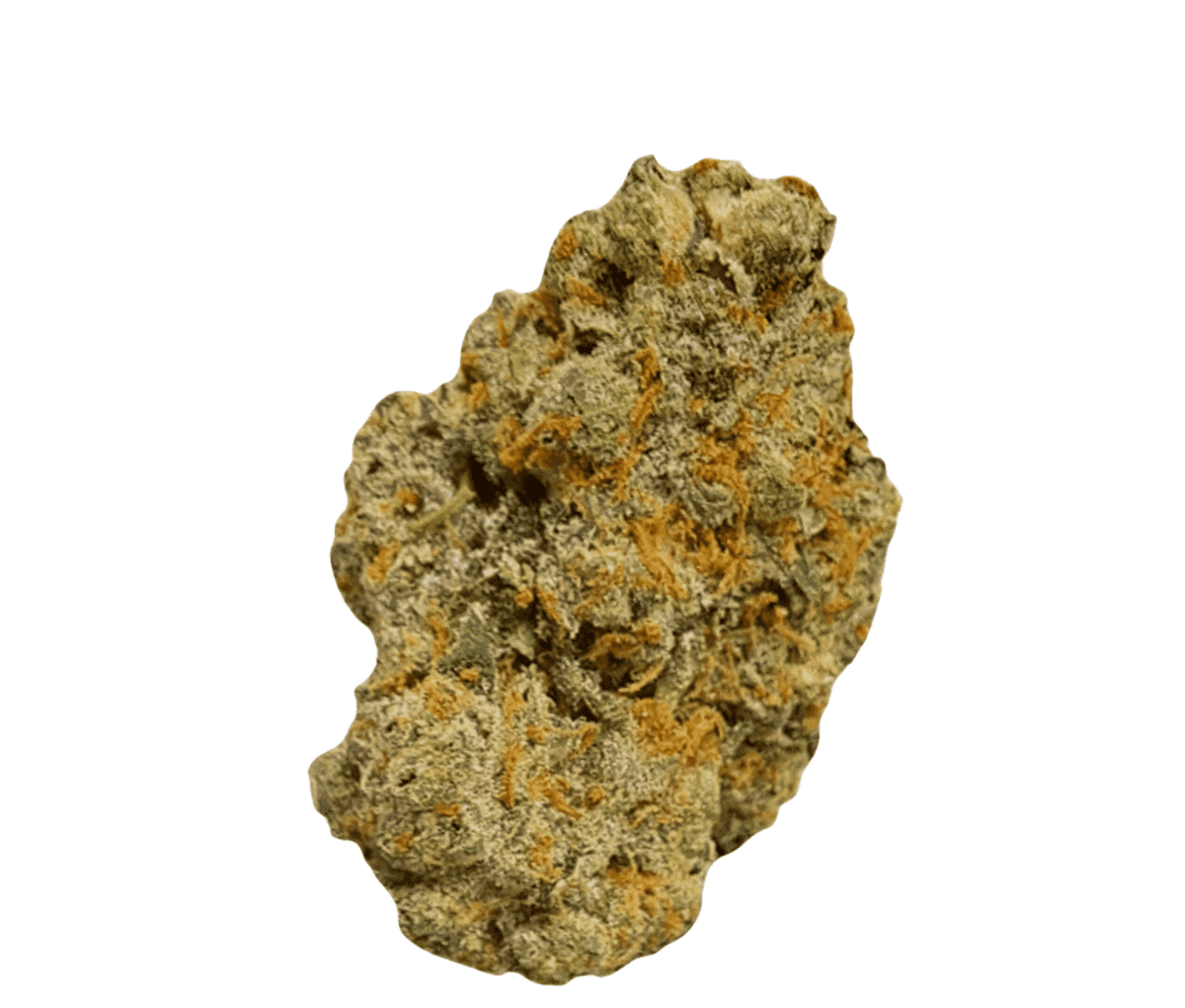 Nahaufnahme einer medizinischen Cannabisbluete