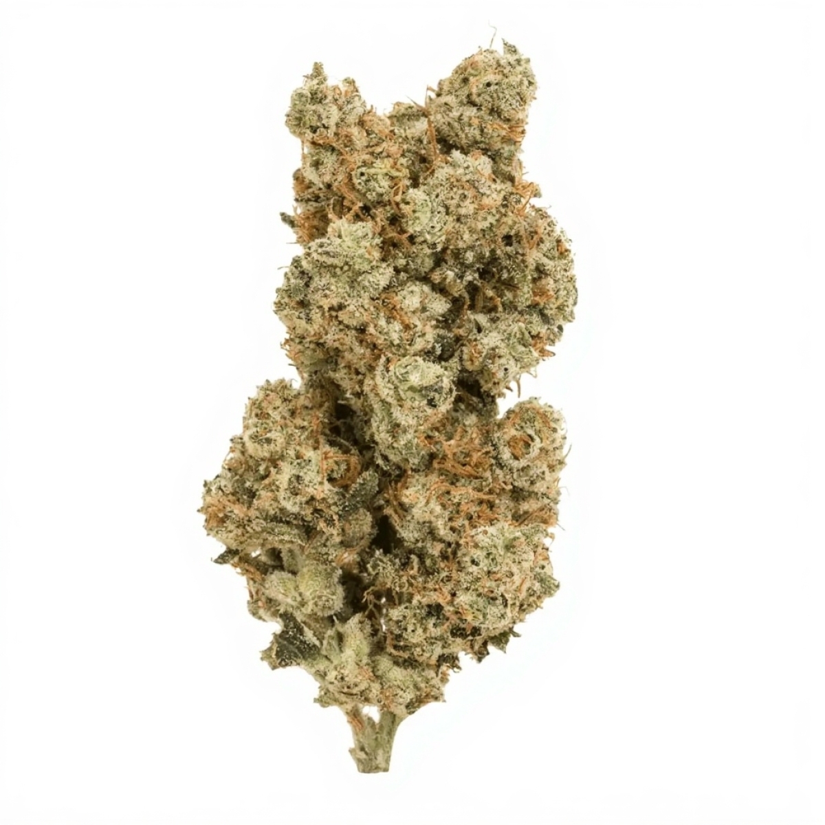 Cannabis Flos 16/1 CL - Ku. Herer Widow Cannabis Flos 16/1 CL - Ku. Herer Widow