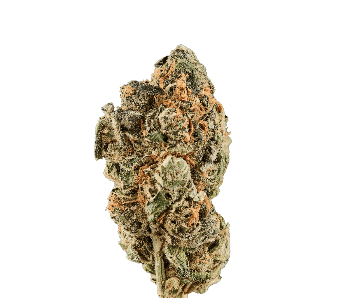 Huala 22/1 CA - WOT - Whiteout