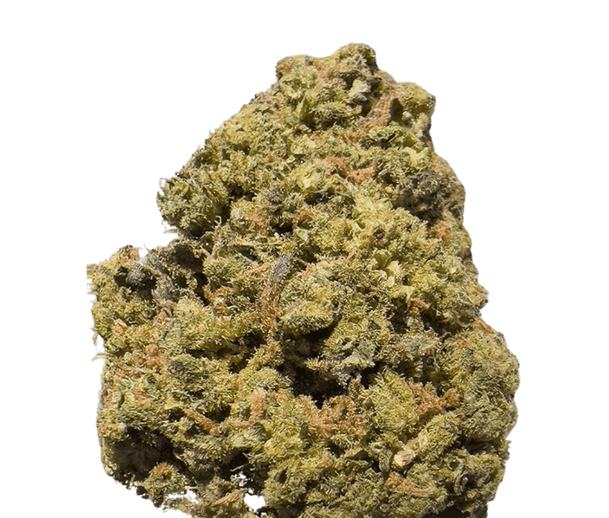 Khiron SCD 25/1 - Sour Chocolate Diesel Khiron SCD 25/1 - Sour Chocolate Diesel