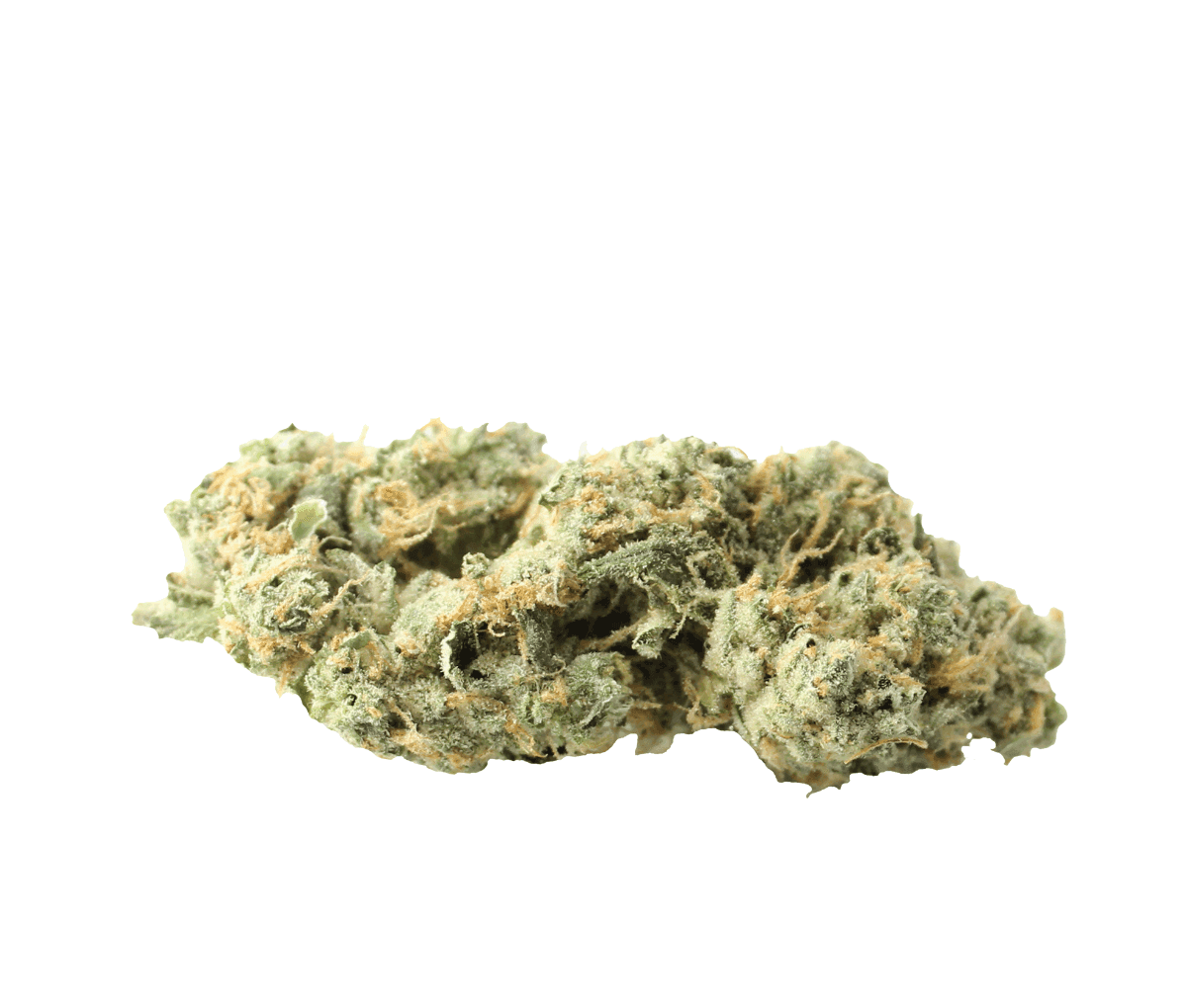 Huala 27/1 CA ALM - Alien Mints Huala 27/1 CA ALM - Alien Mints
