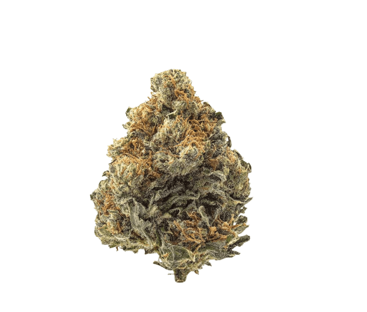 IMC LR THC27 - Limonetti Rhino IMC LR THC27 - Limonetti Rhino