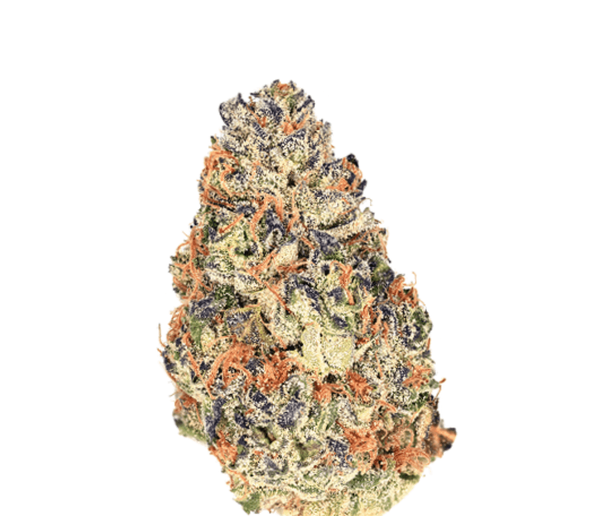 Demecan Craft Rocket 28:01 - PAVÉ X GASTRO POP