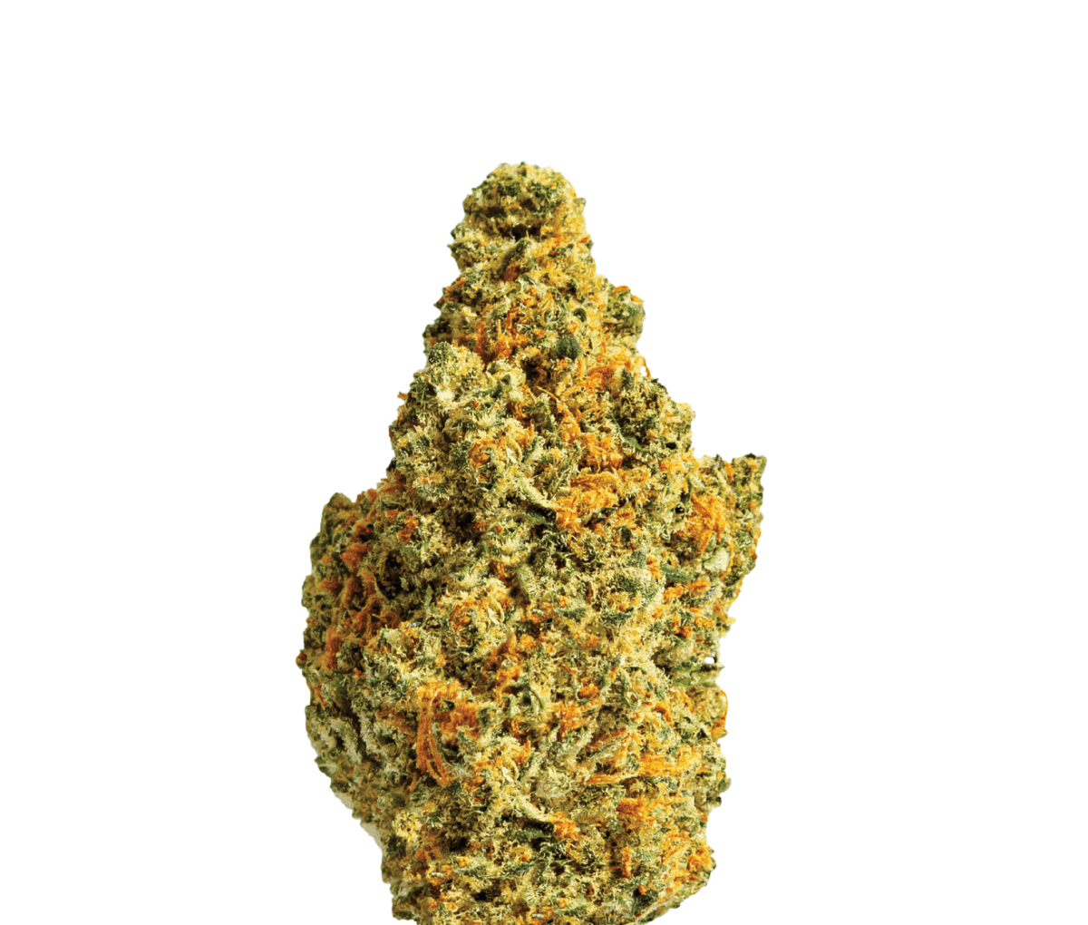 ZOIKS 26/1 TG - Tangrini ZOIKS 26/1 TG - Tangrini