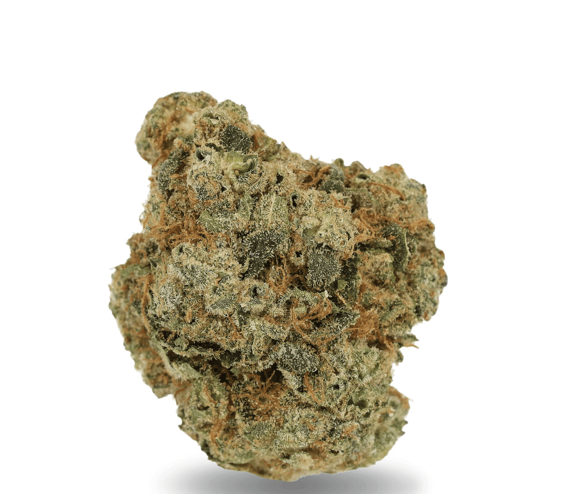 Cannamedical Indica ultra BC - Grape Pie