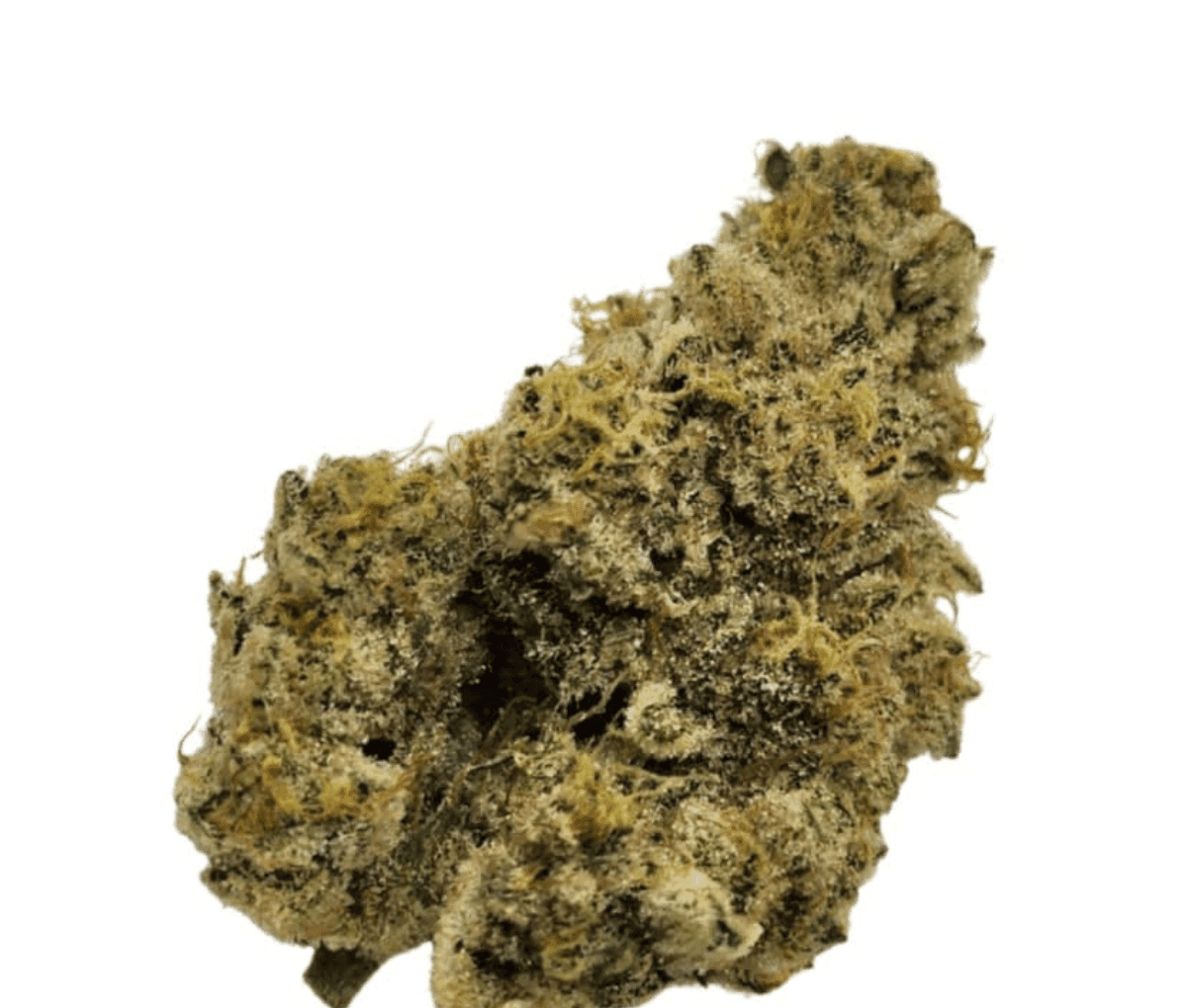 Nimbus easy 22/1 - French Cookies Nimbus easy 22/1 - French Cookies