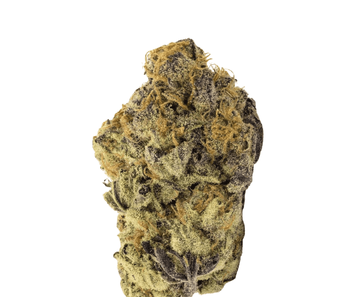 Cannamedical Indica classic ZAF - Black Cherry Punch