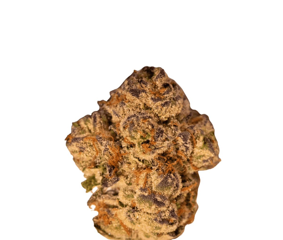 Medicus 21/1 YAR ADI - Astral Drift Medicus 21/1 YAR ADI - Astral Drift