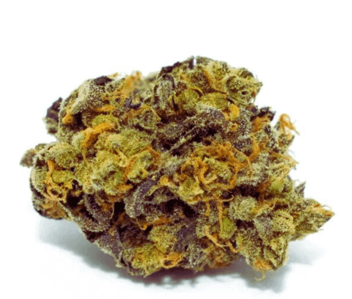420 Natural 17/1 CA TRP - TRP 420 Natural 17/1 CA TRP - TRP