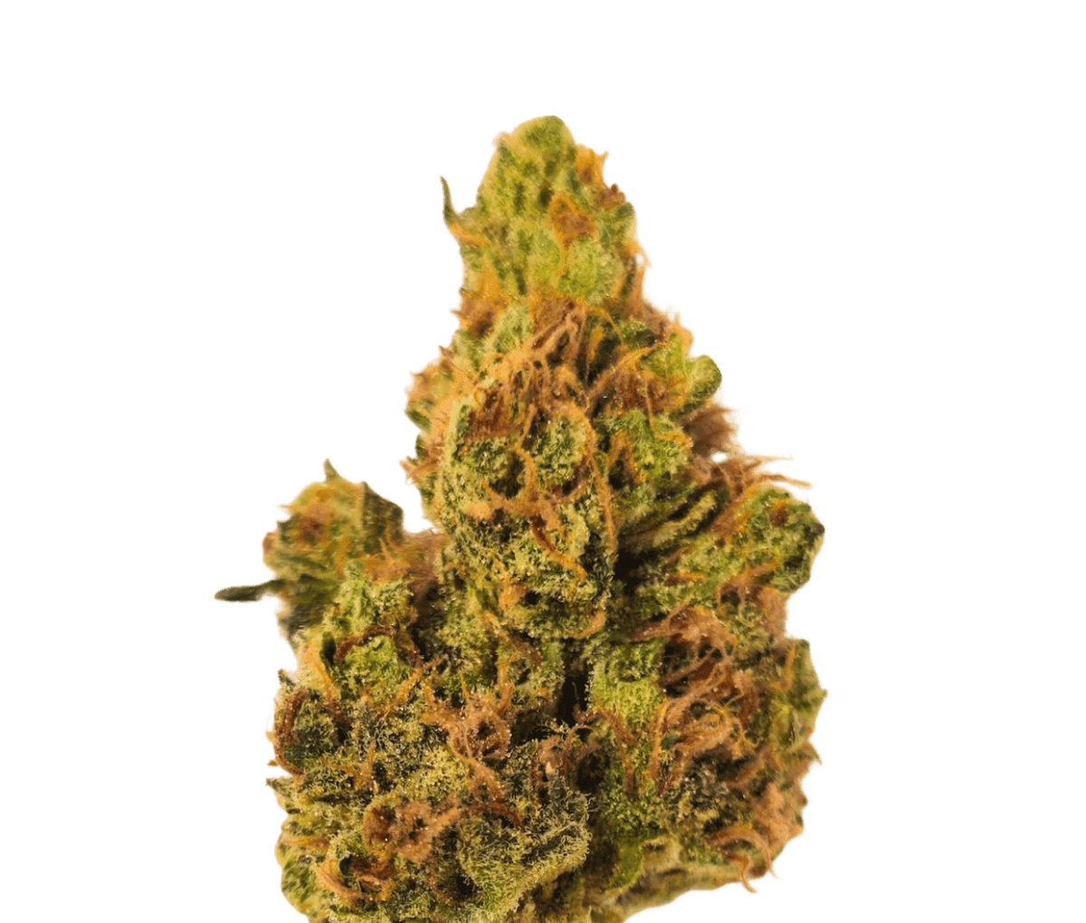 Barrocas PMK 24/1 Premium - Mandarin Kush