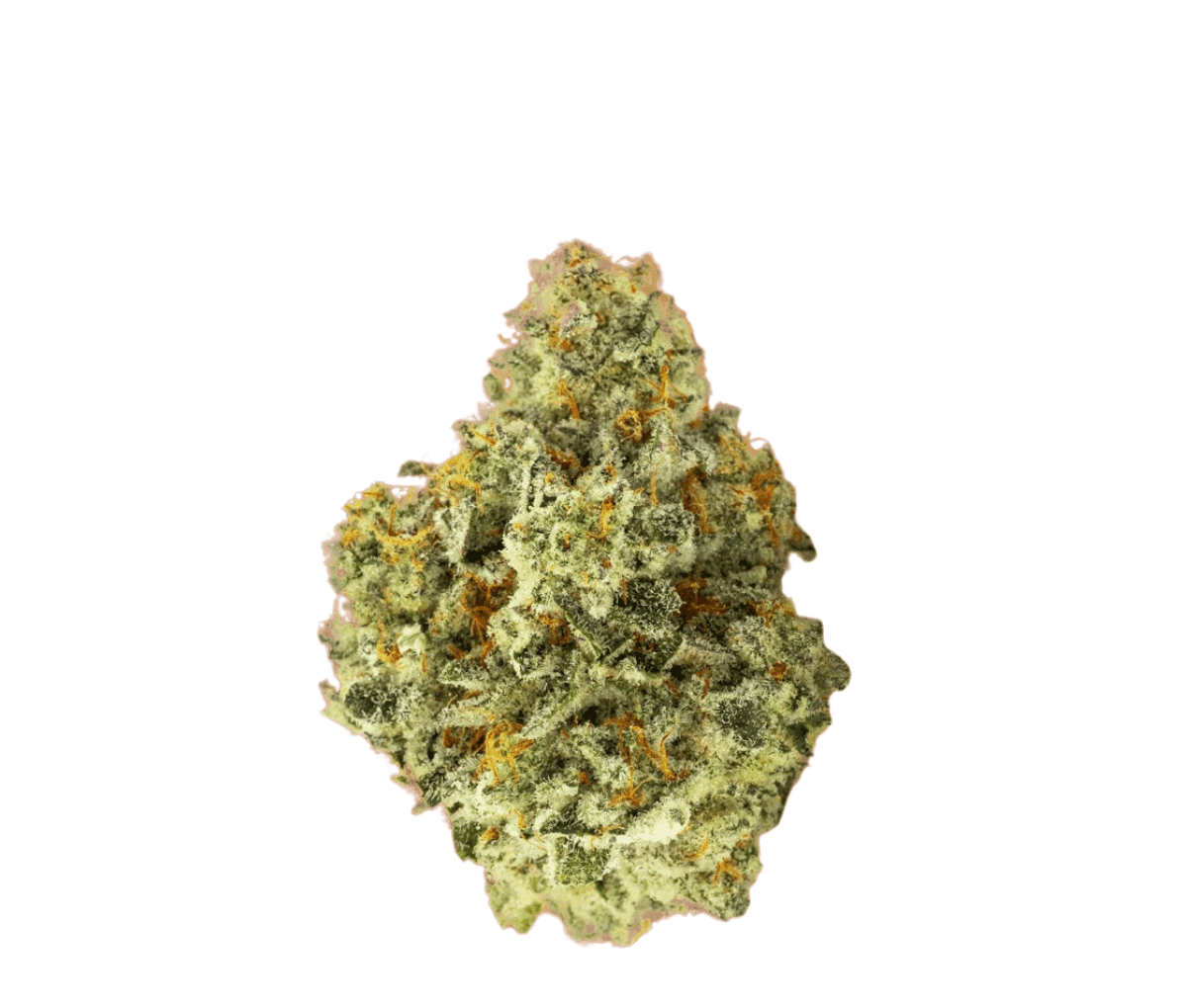 Huala 25/1 CA ALM - Alien Mints Nahaufnahme einer medizinischen Cannabisbluete