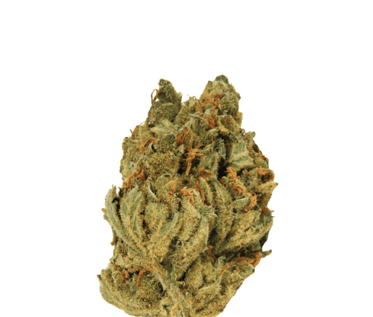 Organic Sweetgrass JJ 25/1 - Juicy J Organic Sweetgrass JJ 25/1 - Juicy J