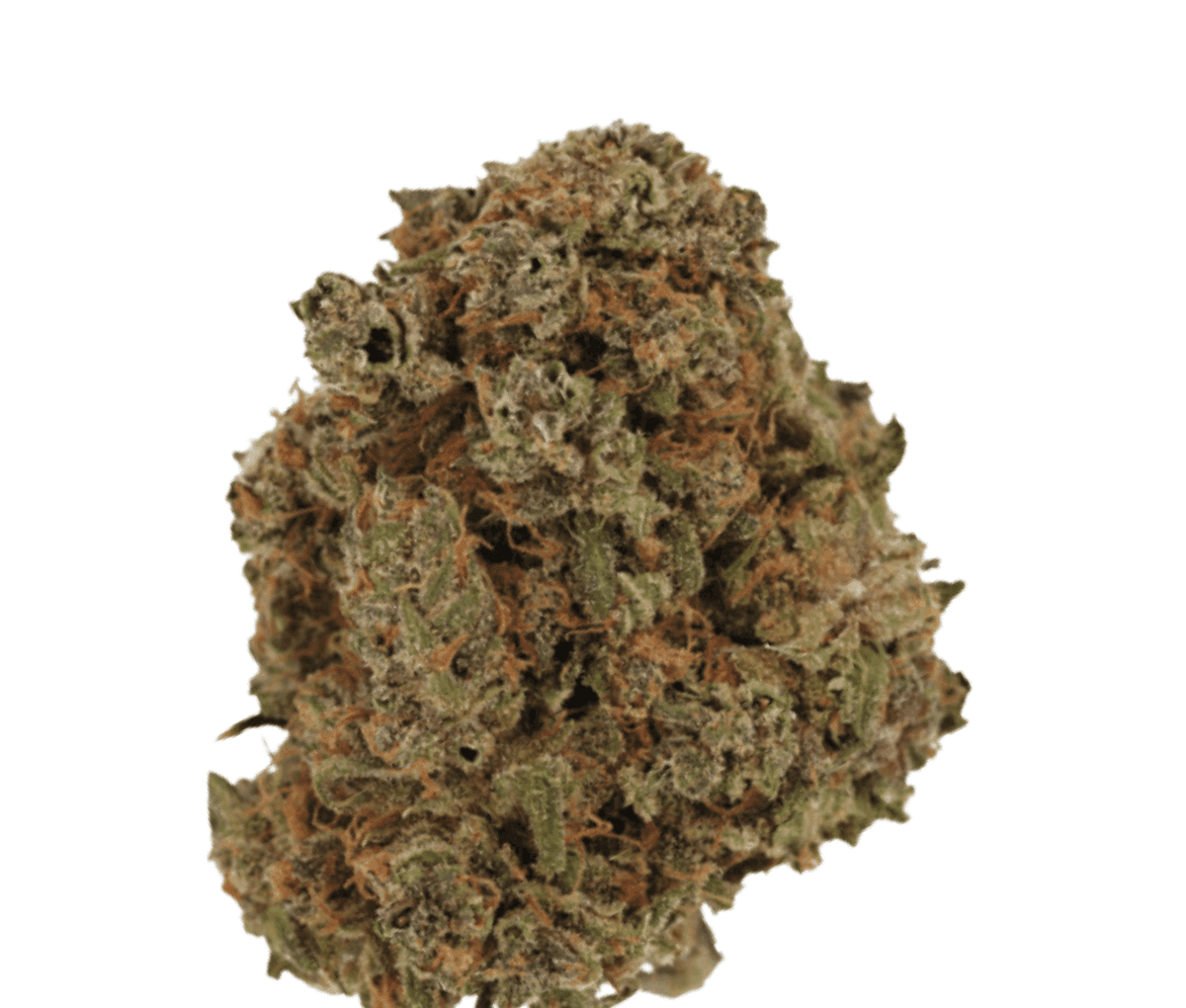 Cannamedical indica forte DK Gelat Skyfloater Cannamedical indica forte DK Gelat Skyfloater
